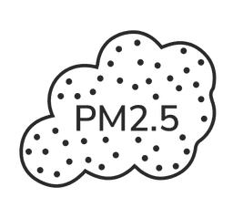 PM 2.5